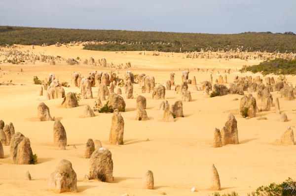 AustraliaPerth 10  068